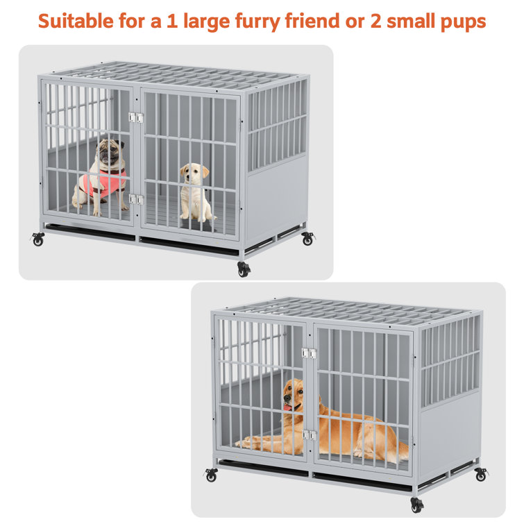 Two tier dog clearance crate